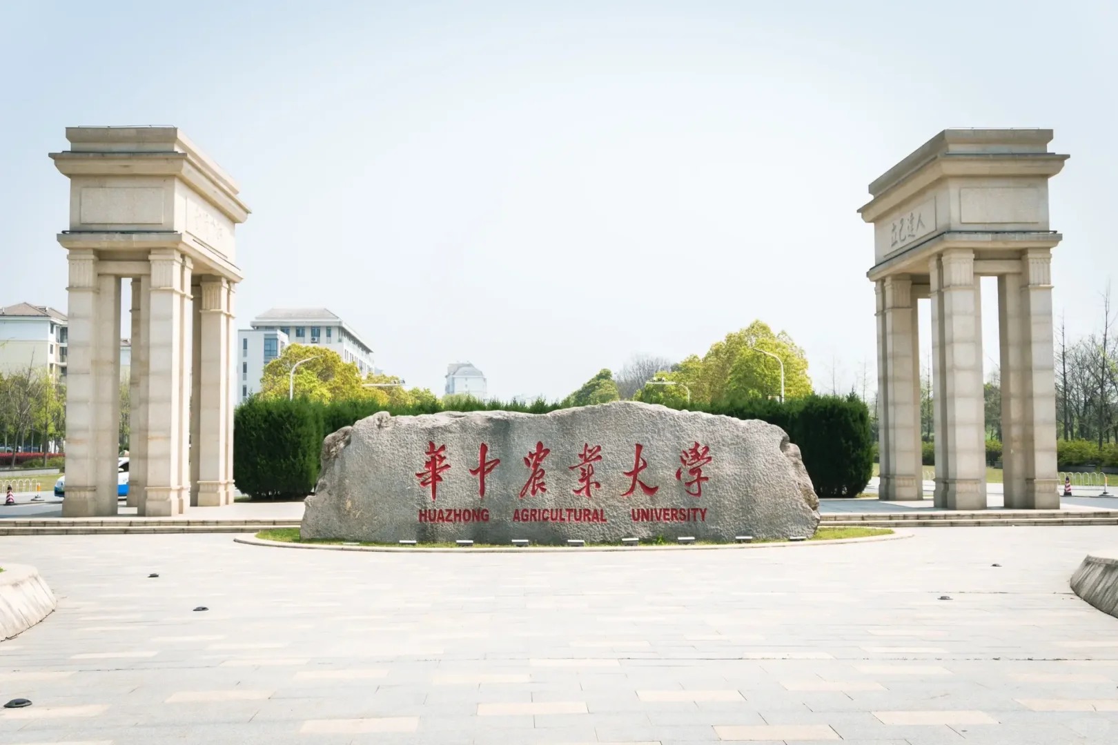 研究组背景